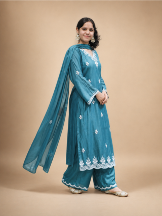 Party wear ethnic set